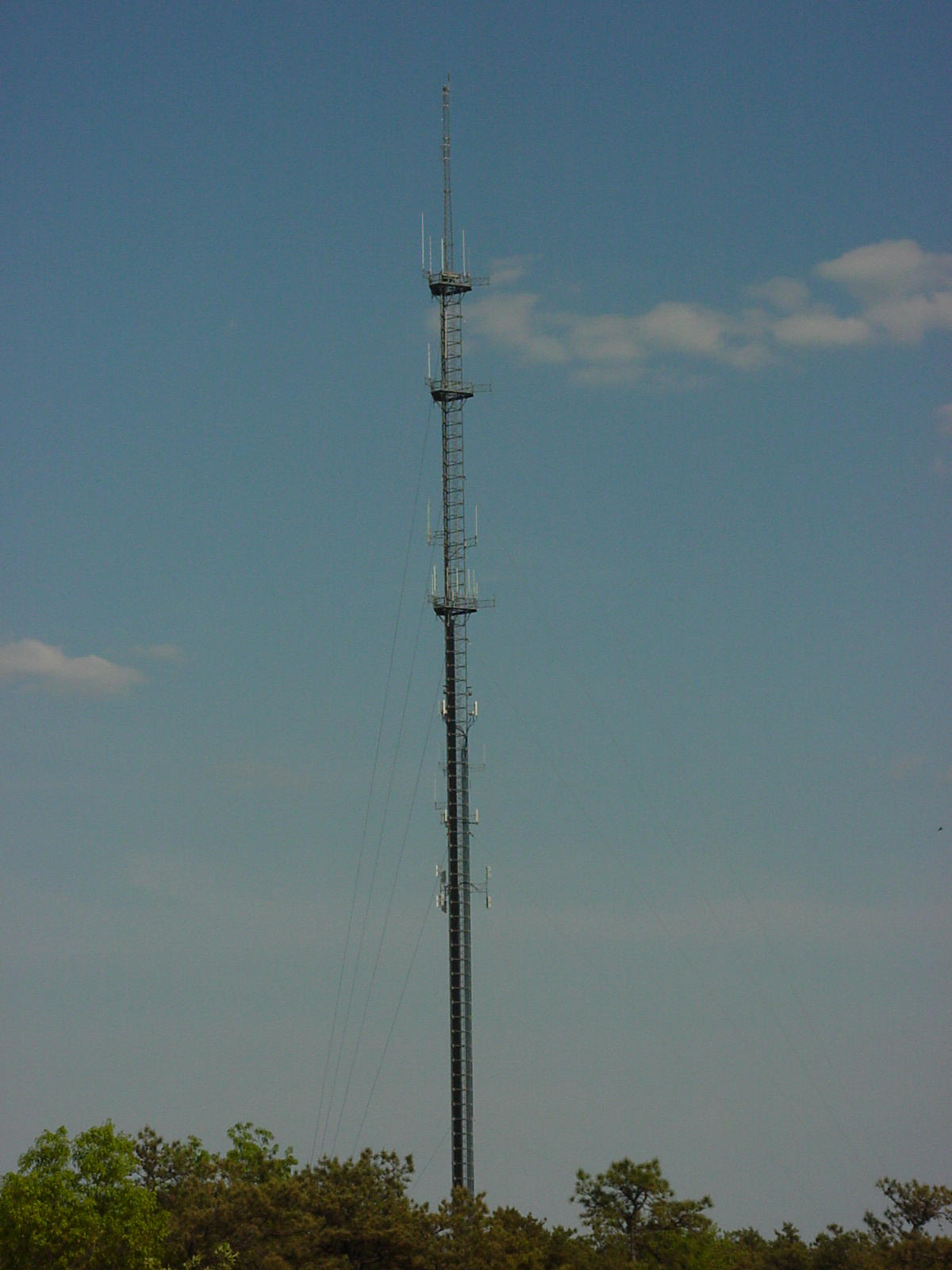 Larger Image